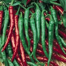 CAYENNE LONG SLIM RED chilli Pepper 10 seeds